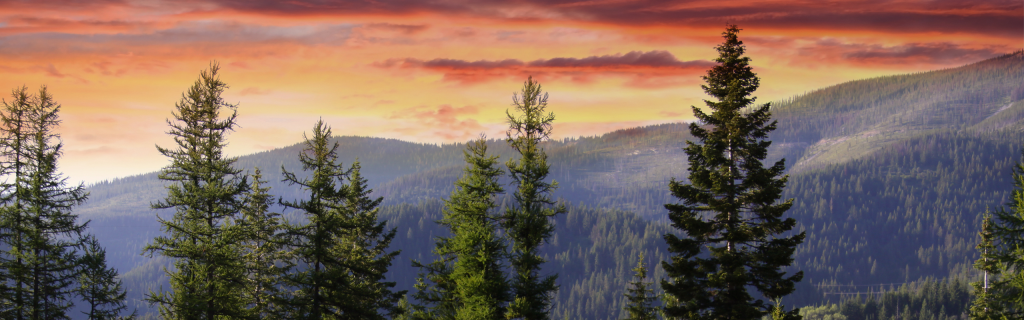 Whitefish Trail